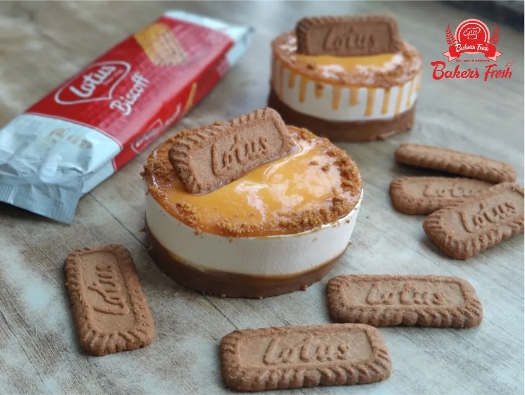 lotus biscoff mini cheesecake